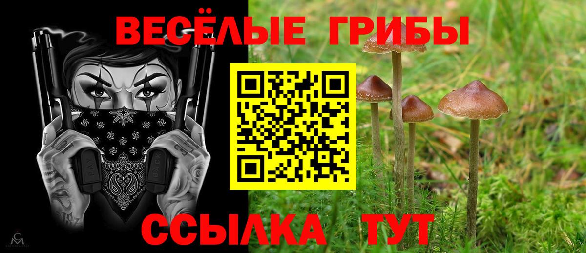 сколько стоит  Псилоцибиновые грибы ЛСД  Вход с VPN  Белая Калитва 
